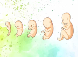 गर्भस्थ शिशु का वजन किस हफ्ते में कितना होना चाहिए