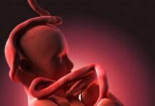 गर्भावस्था: 24 हफ्ते की प्रेगनेंसी के दौरान सावधानियां और महत्वपूर्ण तथ्य fetus weight-1