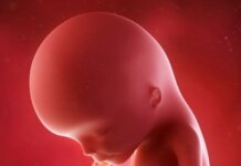 प्रेगनेंसी में वजन कम होने से गर्भस्थ शिशु को नुकसान fetus weight 3