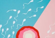 स्पर्म मजबूत करने के घरेलू नुस्खे sperm count
