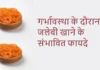 क्या प्रेगनेंसी के दौरान जलेबी खानी चाहिए क्या प्रेगनेंसी के दौरान जलेबी खानी चाहिए
